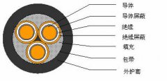 3*2.5，3*3，3*4，3*6，3*10，3*16，3*25屏蔽電纜結(jié)構(gòu)圖