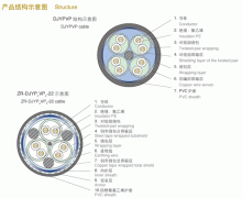 DJYPVP32,DJYP2V32,DJYVP2-32,DJYP2VP2-32鋼絲鎧裝計算機電纜